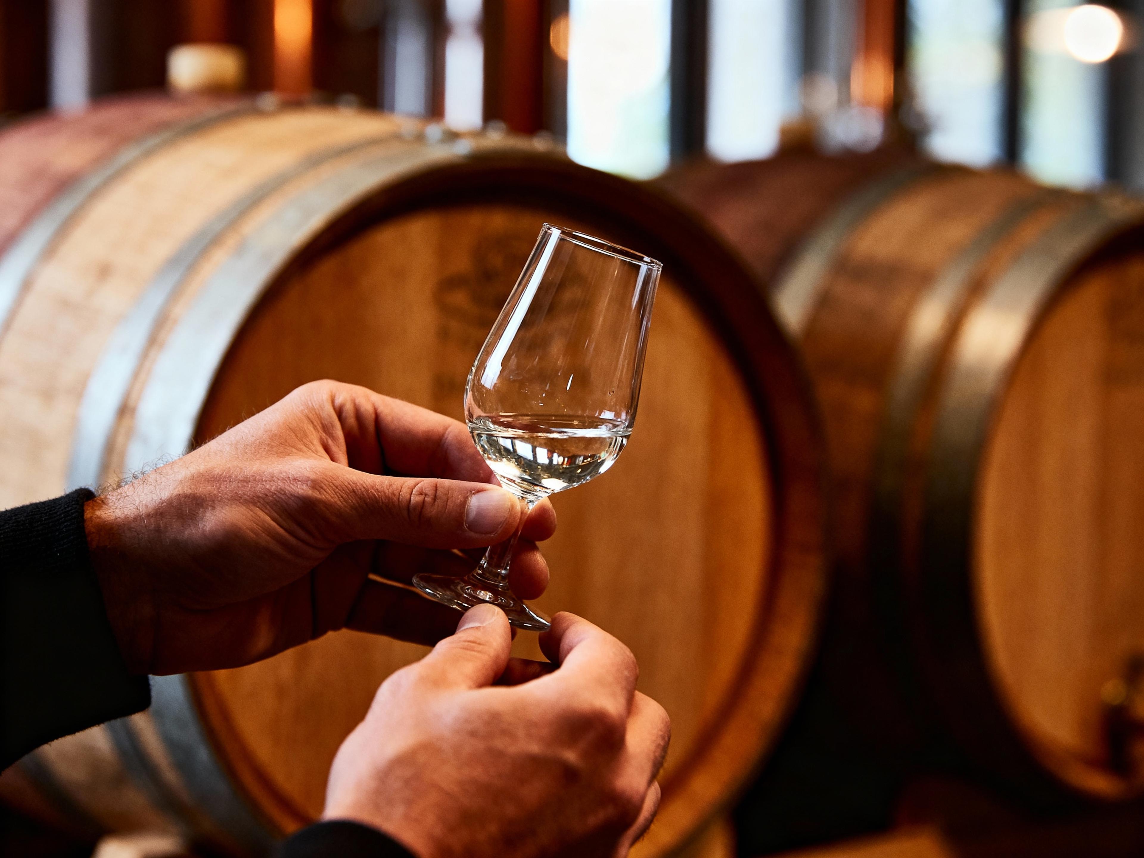 From idea to bottle: how a new release comes to life.